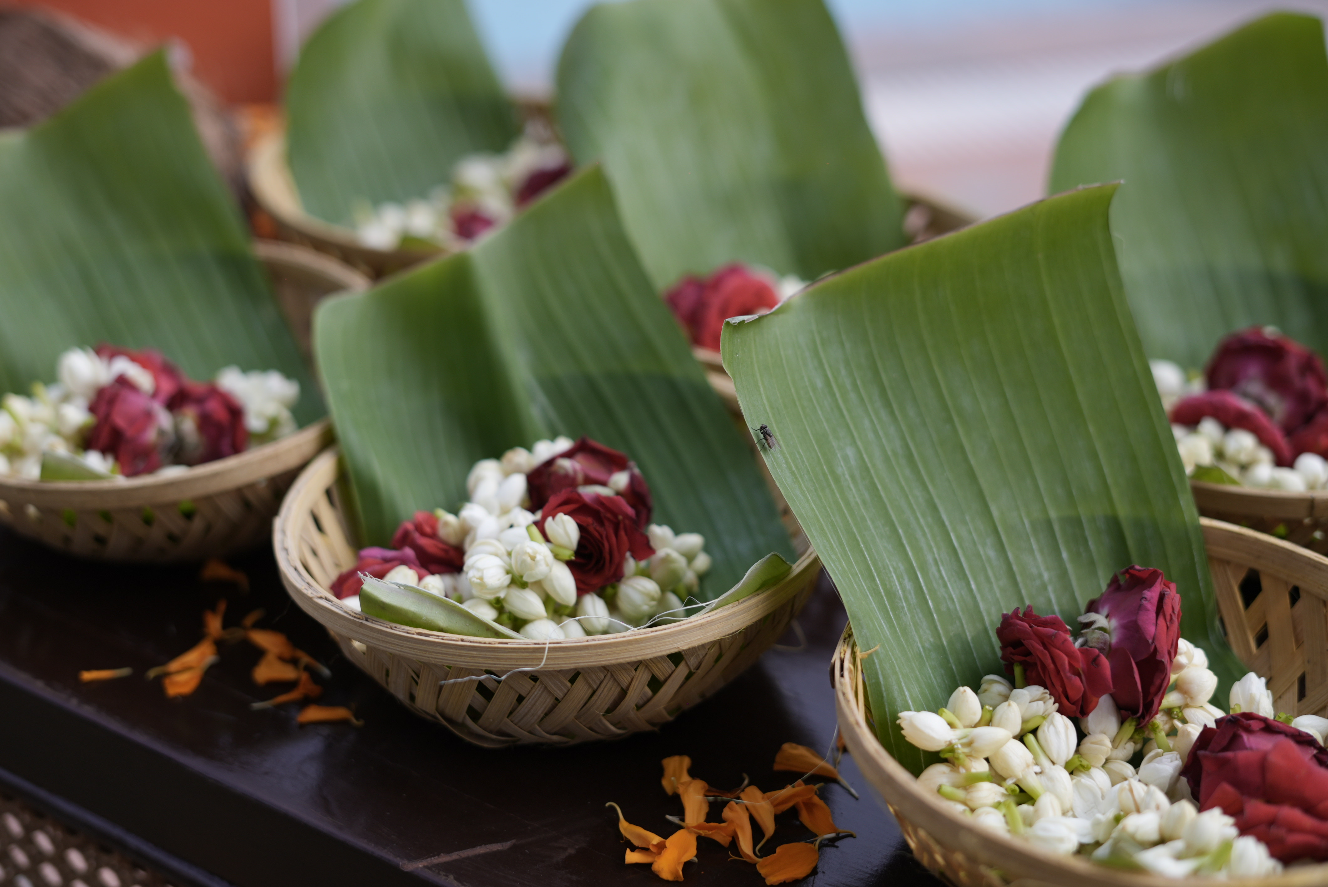Banana Leaves decor