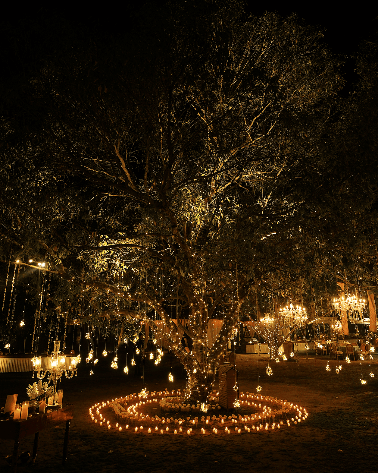 Tree lighting setup